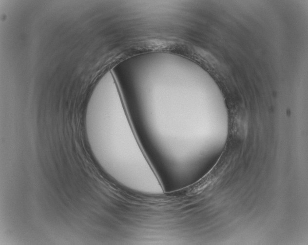 X0000067900317200604131045