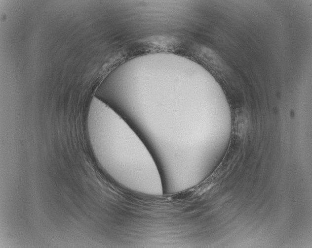 X0000067900318200604131045