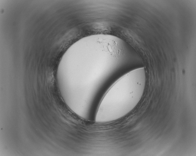 X0000067900320200604131045