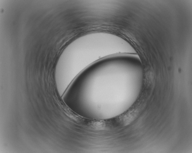 X0000067900325200604131045
