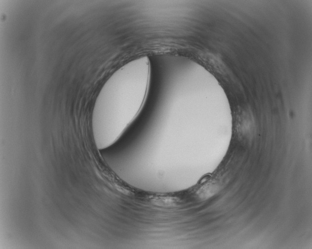 X0000067900332200604131044