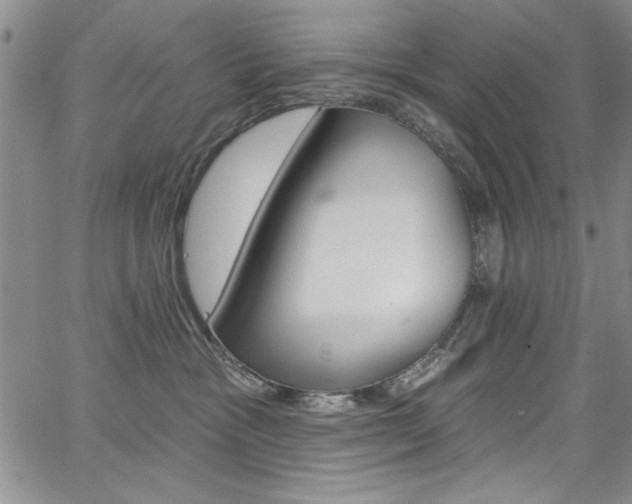 X0000067900333200604131044