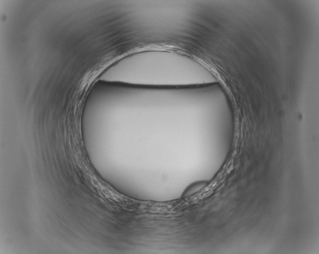X0000067900337200604131044