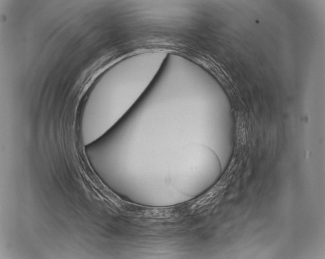 X0000067900338200604131044