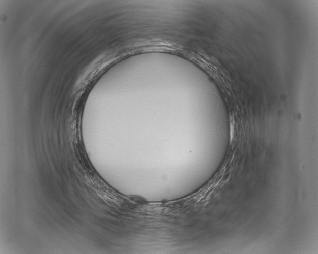 X0000067900339200604131044