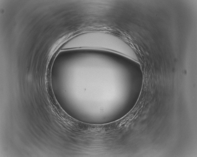X0000067900340200604131044