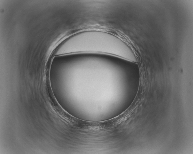 X0000067900344200604131044