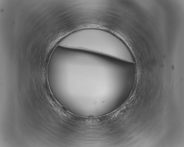 X0000067900345200604131044