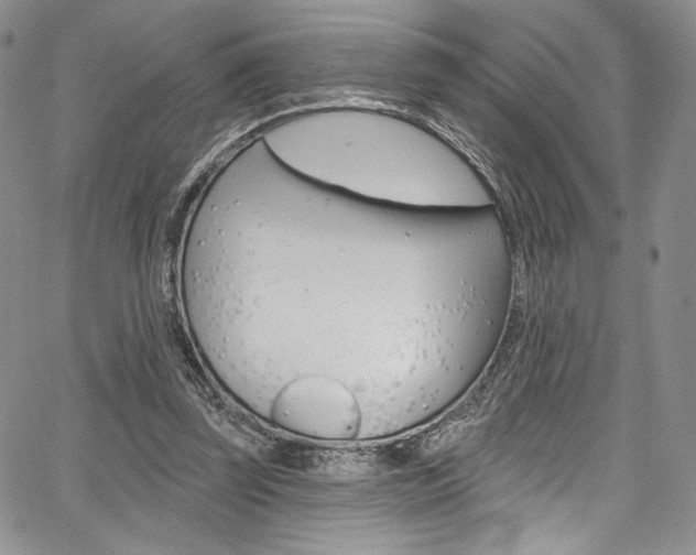 X0000067900347200604131044