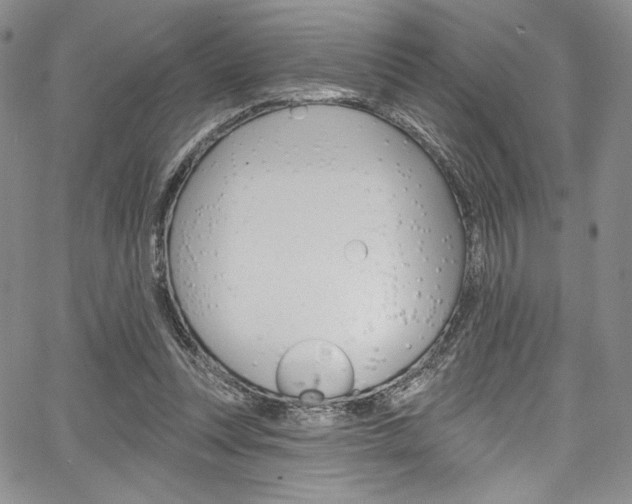 X0000067900351200604131044