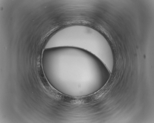 X0000067900356200604131044
