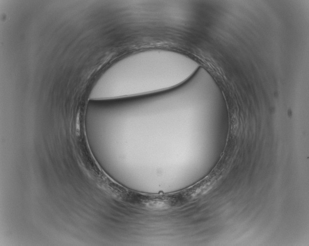 X0000067900358200604131044