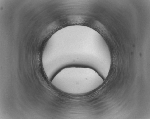 X0000067900362200604131044