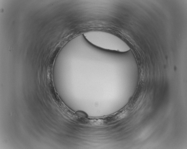 X0000067900363200604131044