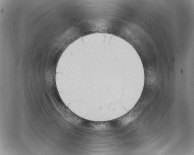 X0000067900370200604131044