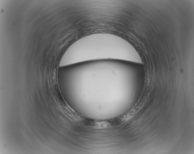 X0000067900376200604131044