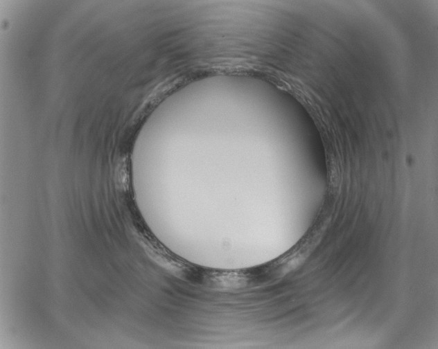 X0000067900383200604131044