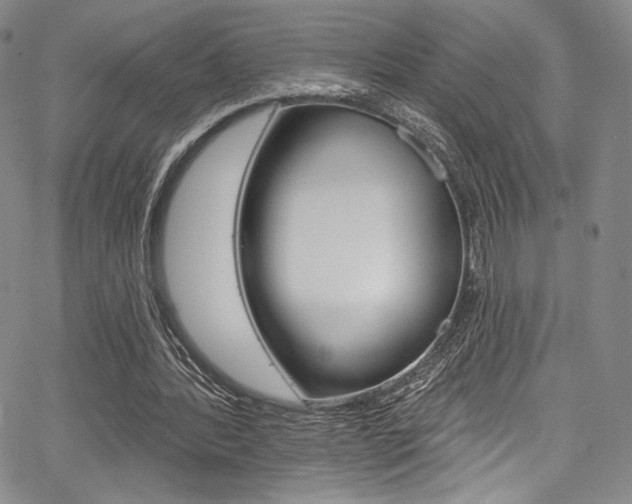 X0000067900388200604131044