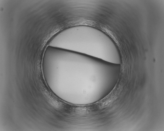 X0000067900394200604131043