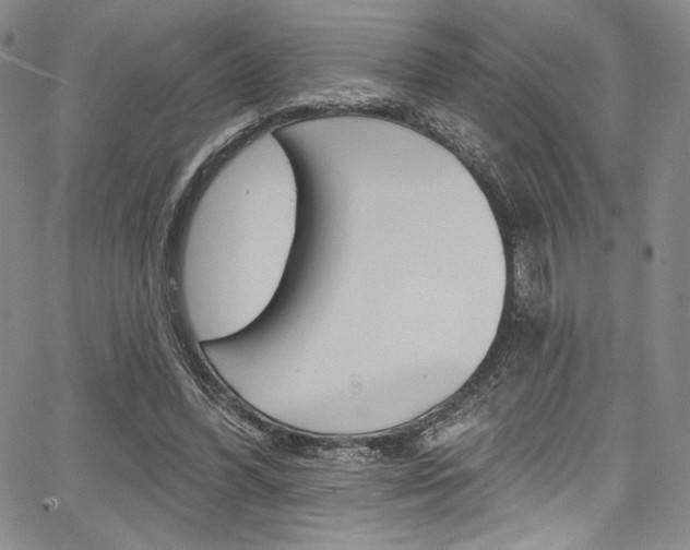 X0000067900396200604131043