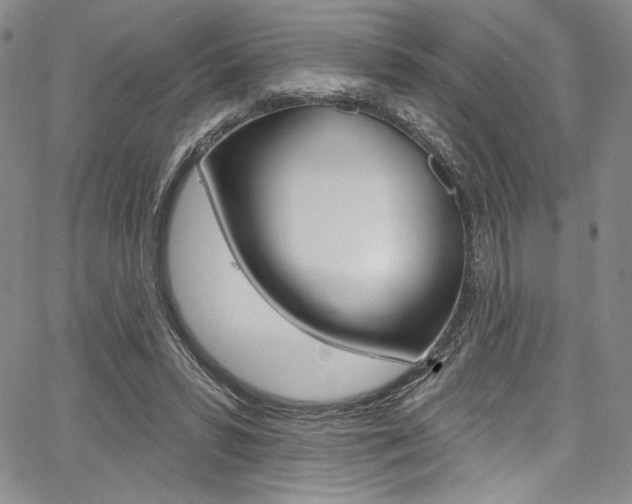 X0000067900399200604131043