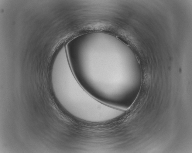 X0000067900403200604131043