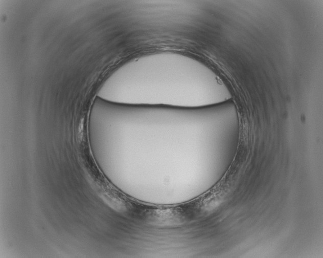 X0000067900406200604131043