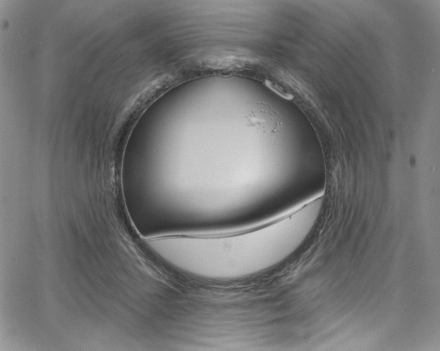 X0000067900407200604131043