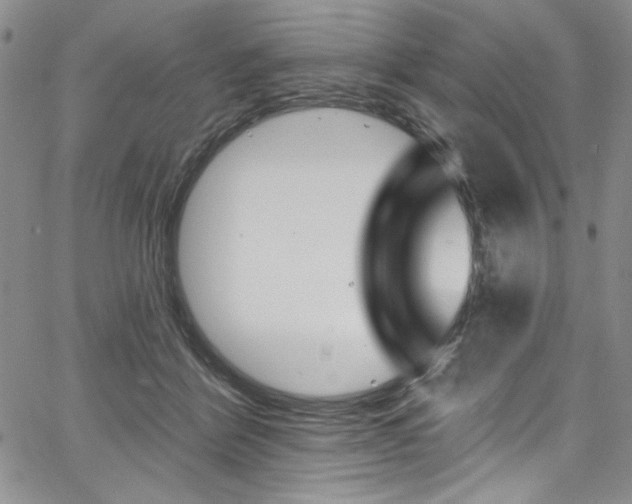 X0000067900412200604131043