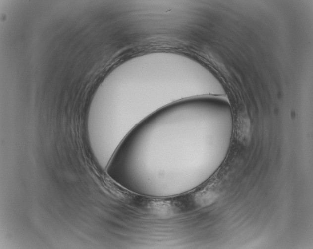 X0000067900413200604131043