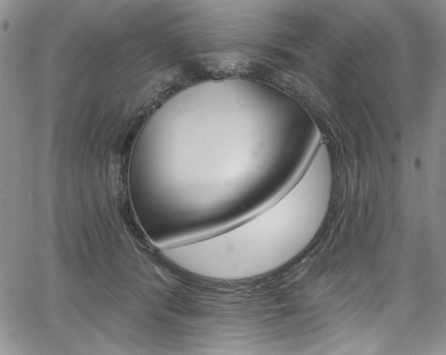 X0000067900416200604131043