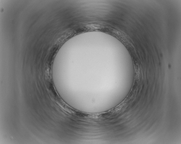 X0000067900418200604131043