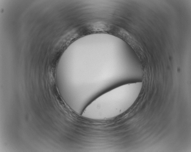 X0000067900422200604131043