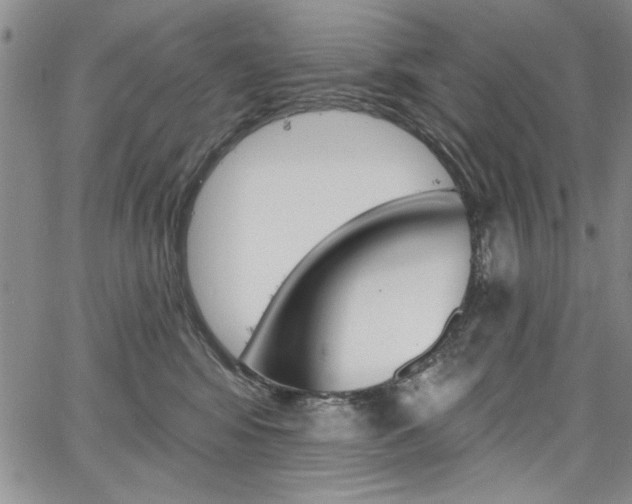 X0000067900424200604131043