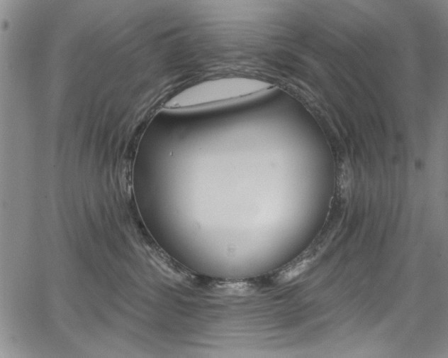 X0000067900428200604131043