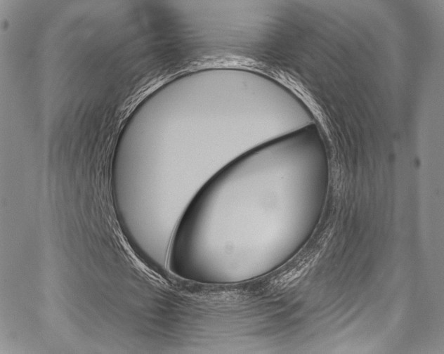 X0000067900433200604131042