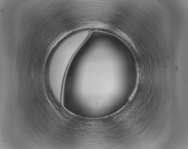 X0000067900436200604131042