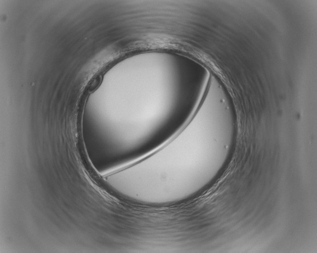 X0000067900438200604131042