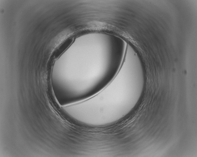 X0000067900440200604131042