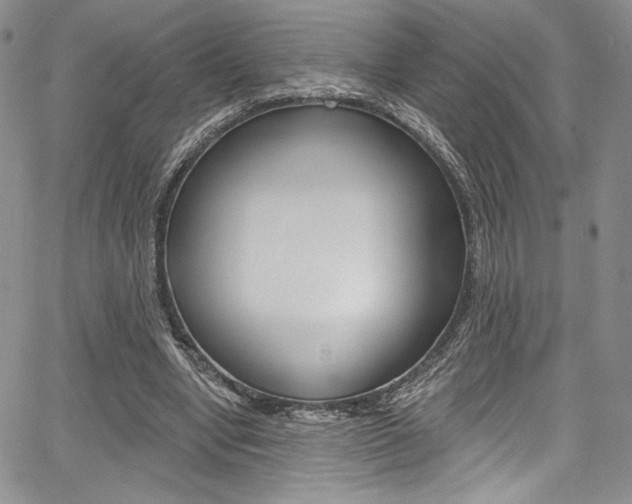 X0000067900442200604131042