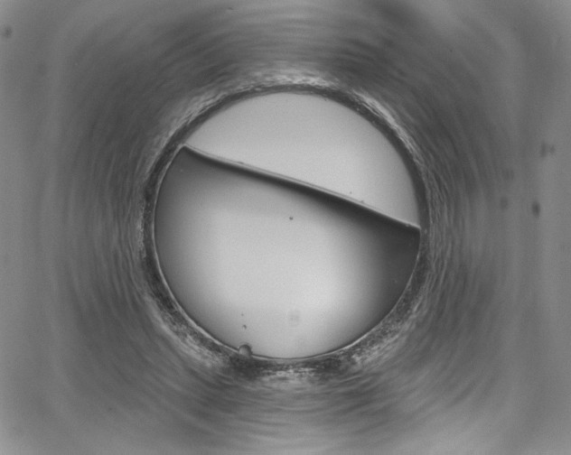 X0000067900447200604131042