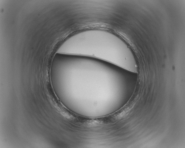 X0000067900453200604131042