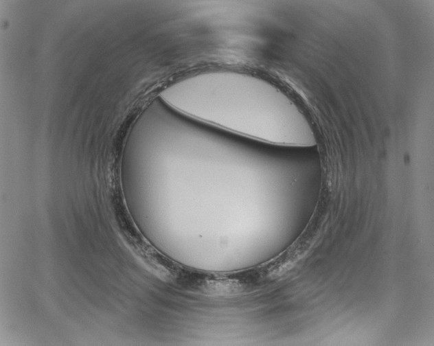 X0000067900455200604131042