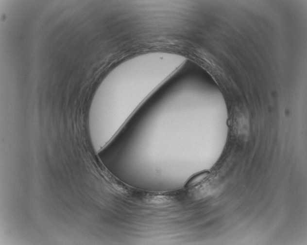 X0000067900467200604131043
