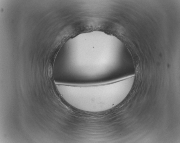 X0000067900474200604131043