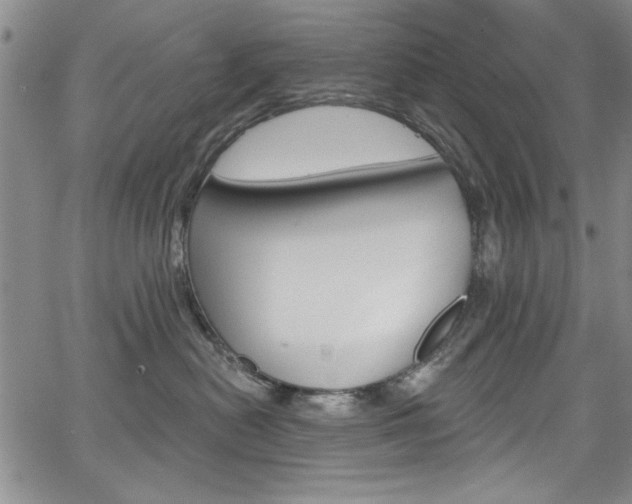 X0000067900478200604131043