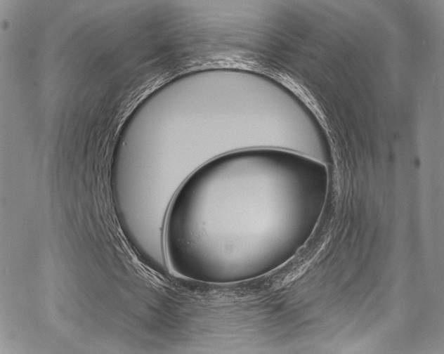 X0000067900481200604131042