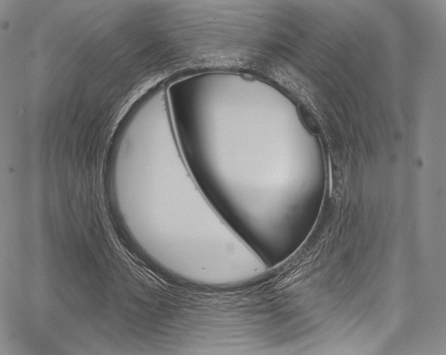 X0000067900483200604131042