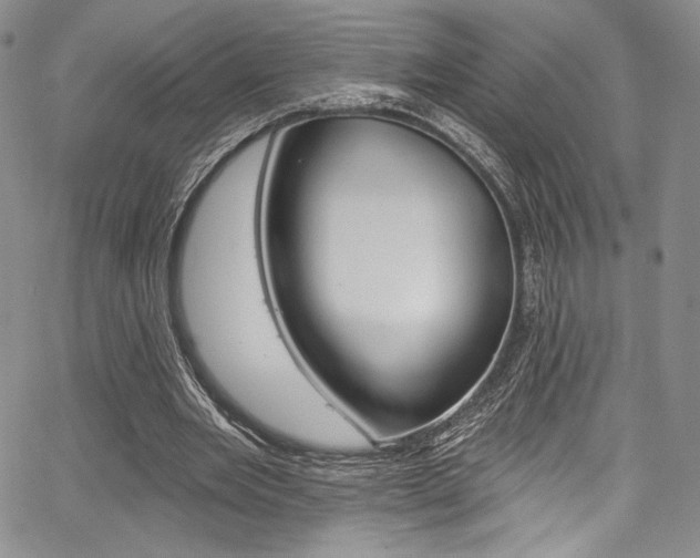 X0000067900485200604131042