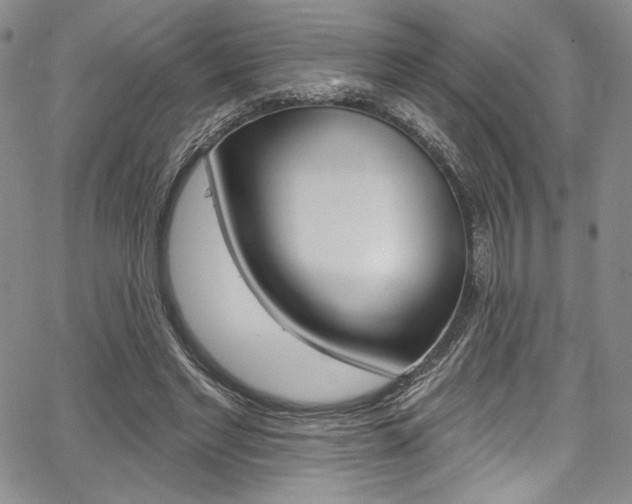 X0000067900493200604131042